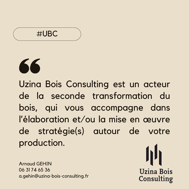 Uzina Bois Consulting